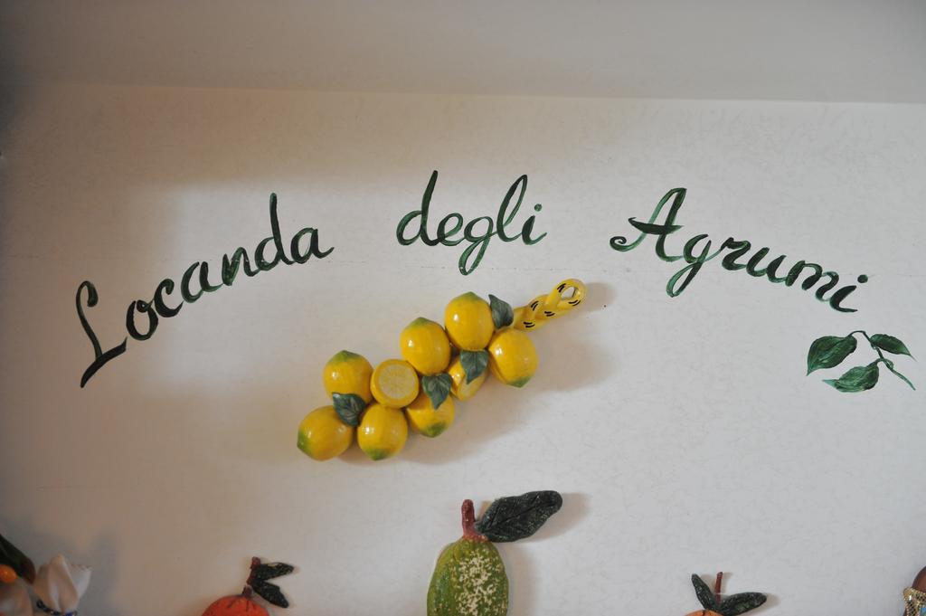 Locanda Degli Agrumi 콩카데이마리니 외부 사진